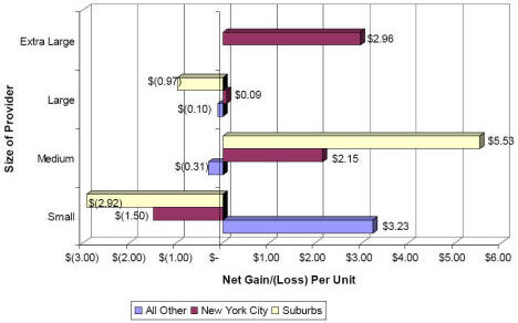 Continuing Day Treatment Net Gain/(Loss) Per Unit by Size and Geographic Location