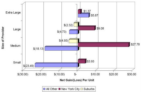 Day Treatment Net Gain/(Loss) Per Unit by Size and Geographic Location