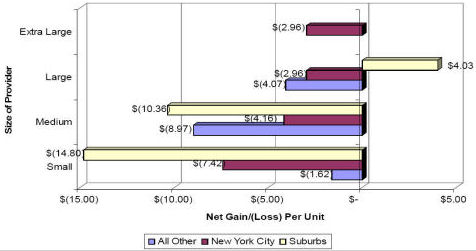 Clinic Treatment Net Gain/(Loss) Per Unit Program and Geographic Location